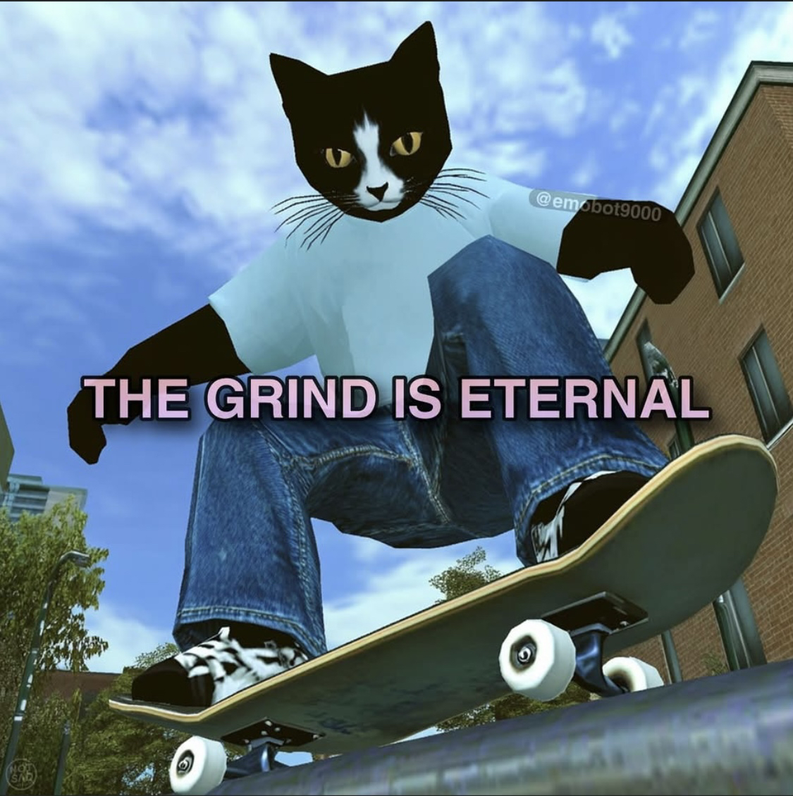 Cat skating with the text the grind is eternal